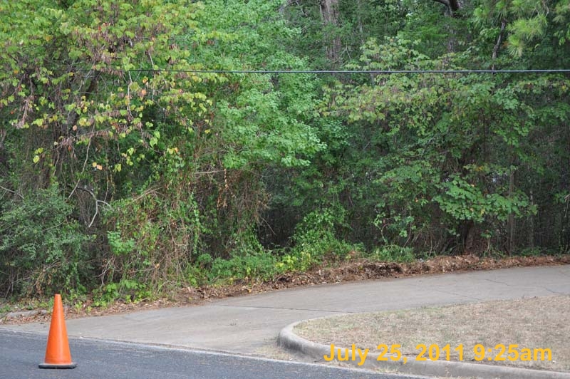 Entergy 065